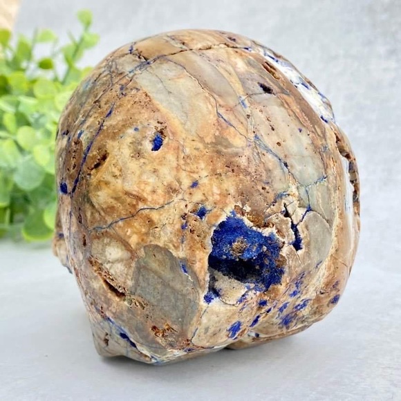 GEMSTONE 4.7" AZURITE & MALACHITE Carved Skull - Picture 6 of 11